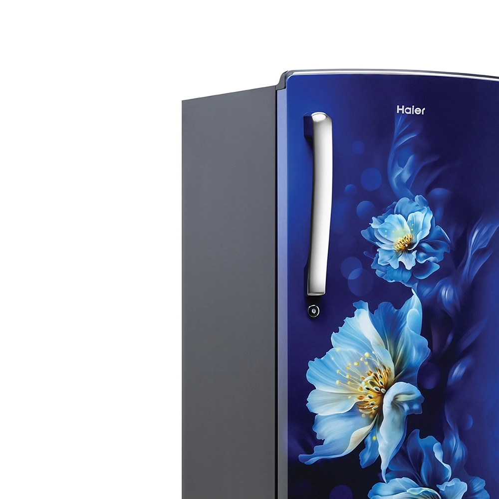 Haier 185L 2 Star Direct Cool Refrigerator - HRD-2062CMSF-N